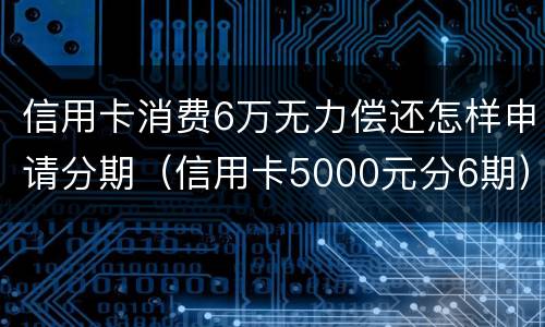 信用卡消费6万无力偿还怎样申请分期（信用卡5000元分6期）