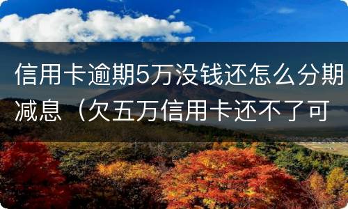 信用卡逾期5万没钱还怎么分期减息（欠五万信用卡还不了可以分期还吗）