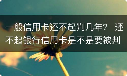 一般信用卡还不起判几年？ 还不起银行信用卡是不是要被判刑