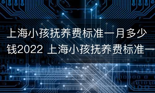 上海小孩抚养费标准一月多少钱2022 上海小孩抚养费标准一月多少钱2021年