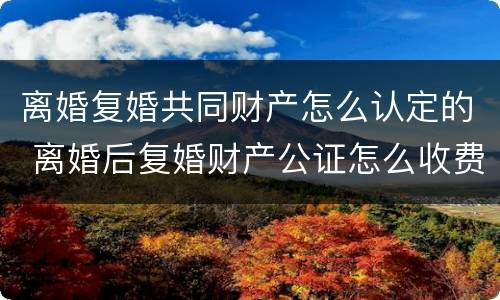 离婚复婚共同财产怎么认定的 离婚后复婚财产公证怎么收费