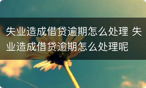 失业造成借贷逾期怎么处理 失业造成借贷逾期怎么处理呢