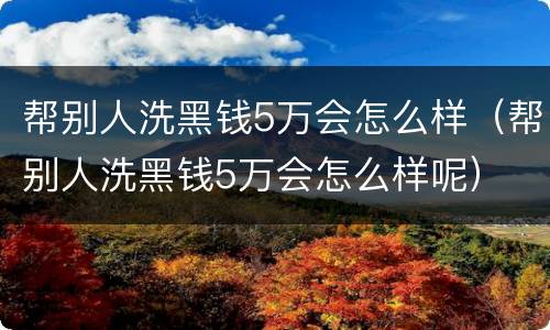 帮别人洗黑钱5万会怎么样（帮别人洗黑钱5万会怎么样呢）