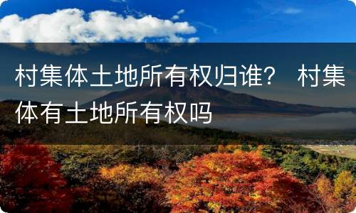 村集体土地所有权归谁？ 村集体有土地所有权吗