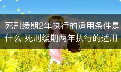 死刑缓期2年执行的适用条件是什么 死刑缓期两年执行的适用条件是什么?