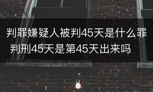 判罪嫌疑人被判45天是什么罪 判刑45天是第45天出来吗