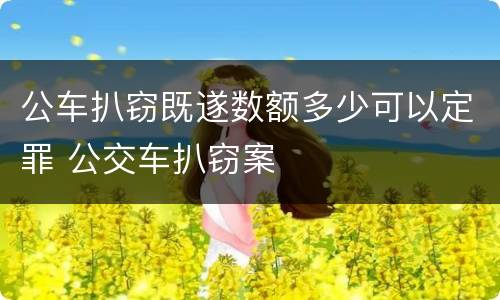 公车扒窃既遂数额多少可以定罪 公交车扒窃案