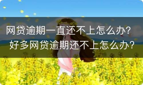 网贷逾期一直还不上怎么办？ 好多网贷逾期还不上怎么办?