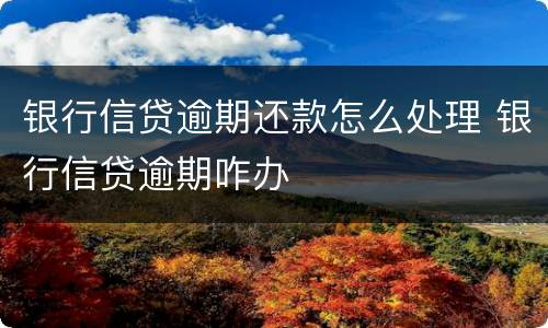 银行信贷逾期还款怎么处理 银行信贷逾期咋办