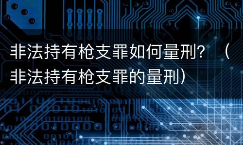 非法持有枪支罪如何量刑？（非法持有枪支罪的量刑）
