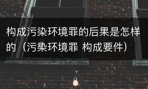 构成污染环境罪的后果是怎样的（污染环境罪 构成要件）