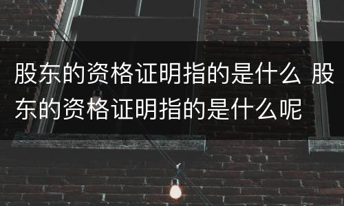 股东的资格证明指的是什么 股东的资格证明指的是什么呢