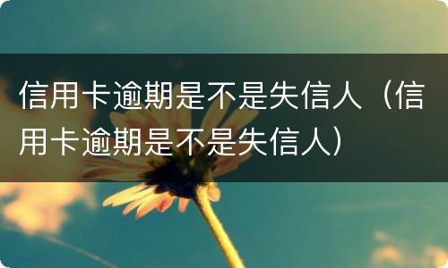 信用卡逾期是不是失信人（信用卡逾期是不是失信人）