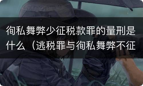 徇私舞弊少征税款罪的量刑是什么（逃税罪与徇私舞弊不征少征税款罪）