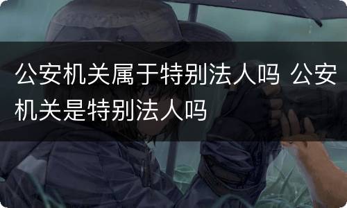 公安机关属于特别法人吗 公安机关是特别法人吗