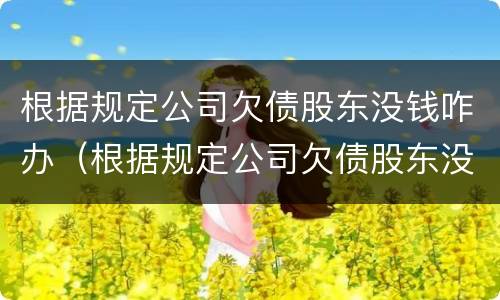 根据规定公司欠债股东没钱咋办（根据规定公司欠债股东没钱咋办理）