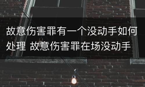 故意伤害罪有一个没动手如何处理 故意伤害罪在场没动手