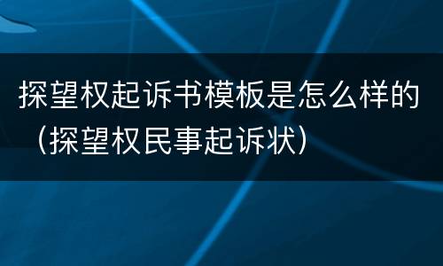 探望权起诉书模板是怎么样的（探望权民事起诉状）