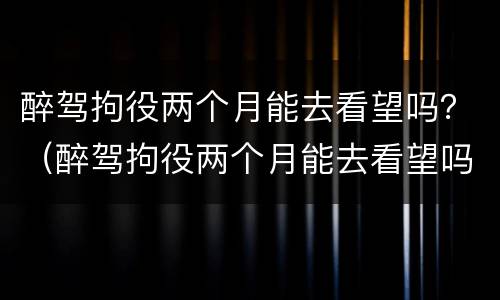 醉驾拘役两个月能去看望吗？（醉驾拘役两个月能去看望吗）