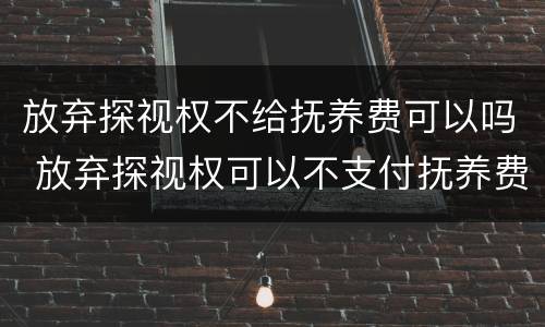 放弃探视权不给抚养费可以吗 放弃探视权可以不支付抚养费吗
