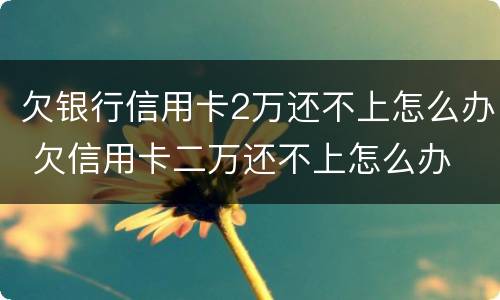 欠银行信用卡2万还不上怎么办 欠信用卡二万还不上怎么办