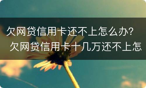 欠网贷信用卡还不上怎么办？ 欠网贷信用卡十几万还不上怎么办