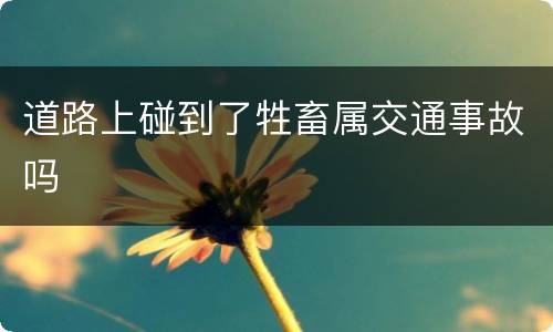 道路上碰到了牲畜属交通事故吗