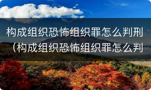 构成组织恐怖组织罪怎么判刑（构成组织恐怖组织罪怎么判刑的）