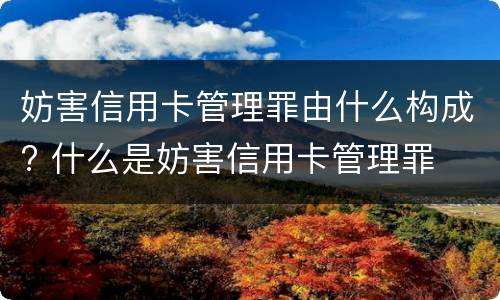 妨害信用卡管理罪由什么构成? 什么是妨害信用卡管理罪