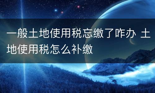 一般土地使用税忘缴了咋办 土地使用税怎么补缴