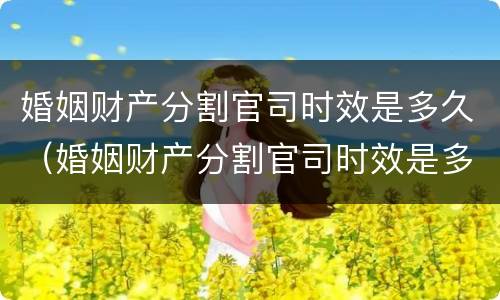 婚姻财产分割官司时效是多久（婚姻财产分割官司时效是多久啊）
