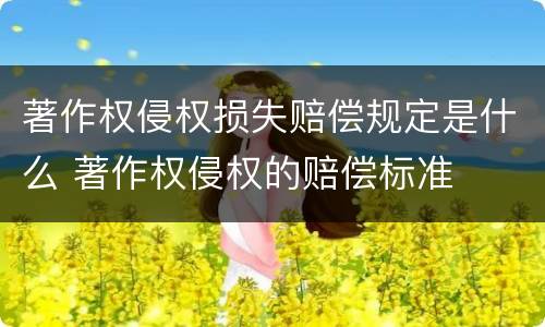 著作权侵权损失赔偿规定是什么 著作权侵权的赔偿标准
