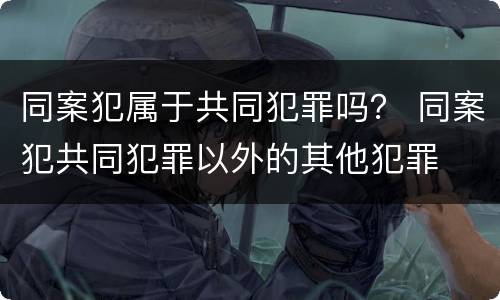 同案犯属于共同犯罪吗？ 同案犯共同犯罪以外的其他犯罪