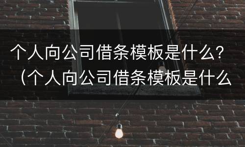 个人向公司借条模板是什么？（个人向公司借条模板是什么样子）
