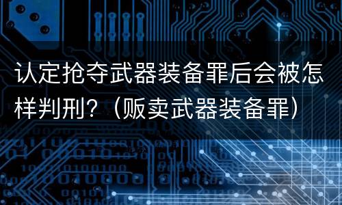 认定抢夺武器装备罪后会被怎样判刑?（贩卖武器装备罪）