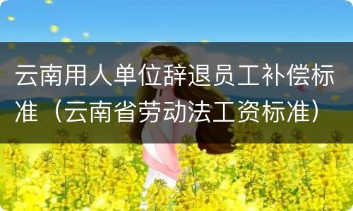 云南用人单位辞退员工补偿标准（云南省劳动法工资标准）