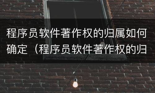 程序员软件著作权的归属如何确定（程序员软件著作权的归属如何确定）