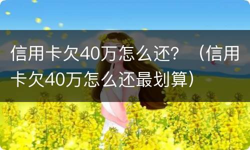 信用卡欠40万怎么还？（信用卡欠40万怎么还最划算）