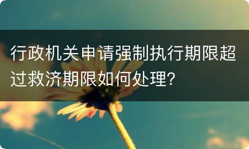 行政机关申请强制执行期限超过救济期限如何处理？