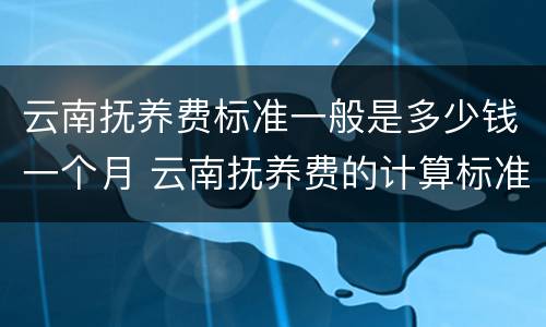 云南抚养费标准一般是多少钱一个月 云南抚养费的计算标准