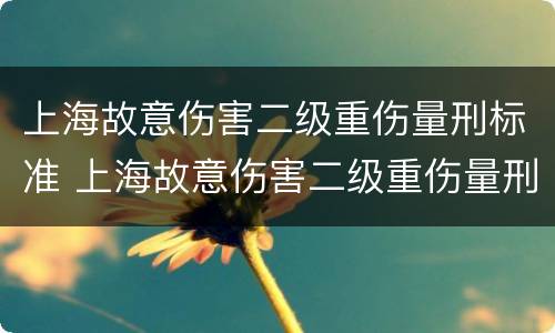 上海故意伤害二级重伤量刑标准 上海故意伤害二级重伤量刑标准