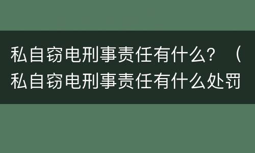 私自窃电刑事责任有什么？（私自窃电刑事责任有什么处罚）