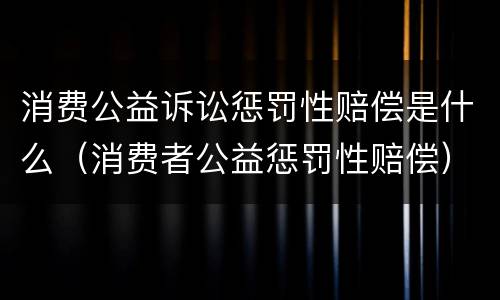 消费公益诉讼惩罚性赔偿是什么（消费者公益惩罚性赔偿）