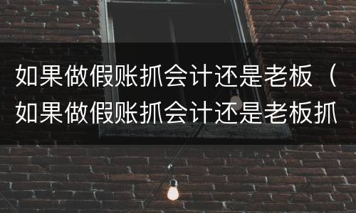 如果做假账抓会计还是老板（如果做假账抓会计还是老板抓会计）