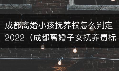 成都离婚小孩抚养权怎么判定2022（成都离婚子女抚养费标准）