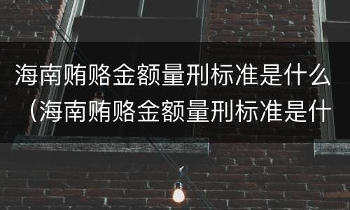 海南贿赂金额量刑标准是什么（海南贿赂金额量刑标准是什么样的）