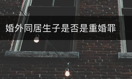 婚外同居生子是否是重婚罪
