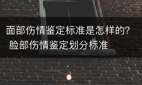 面部伤情鉴定标准是怎样的？ 脸部伤情鉴定划分标准