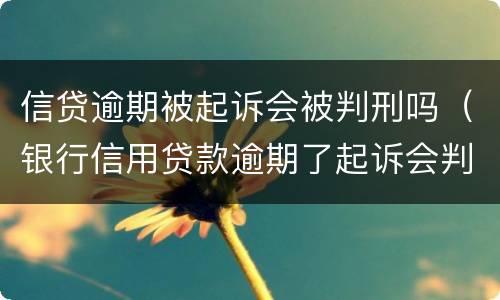 信贷逾期被起诉会被判刑吗（银行信用贷款逾期了起诉会判刑吗）