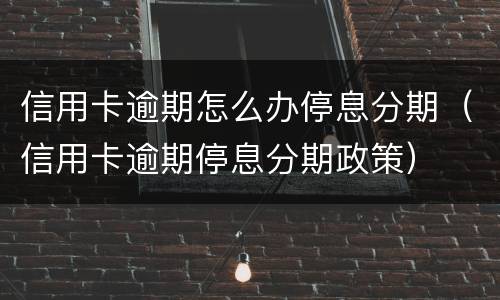 信用卡逾期怎么办停息分期（信用卡逾期停息分期政策）